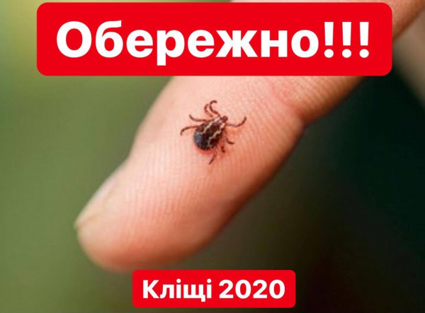 Що потрібно знати про кліщів